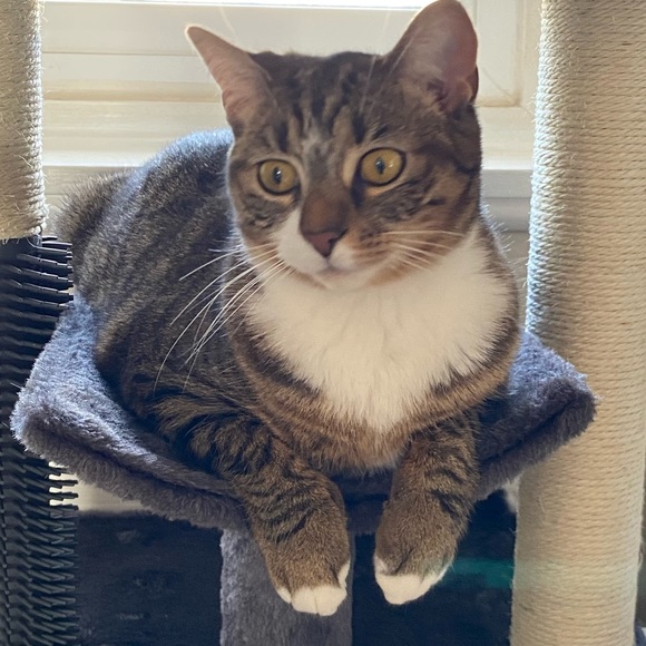 Welcome to my shop - Picture 1 of 1